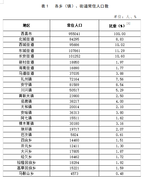 西昌最新支援，推動城市發(fā)展的強大動力