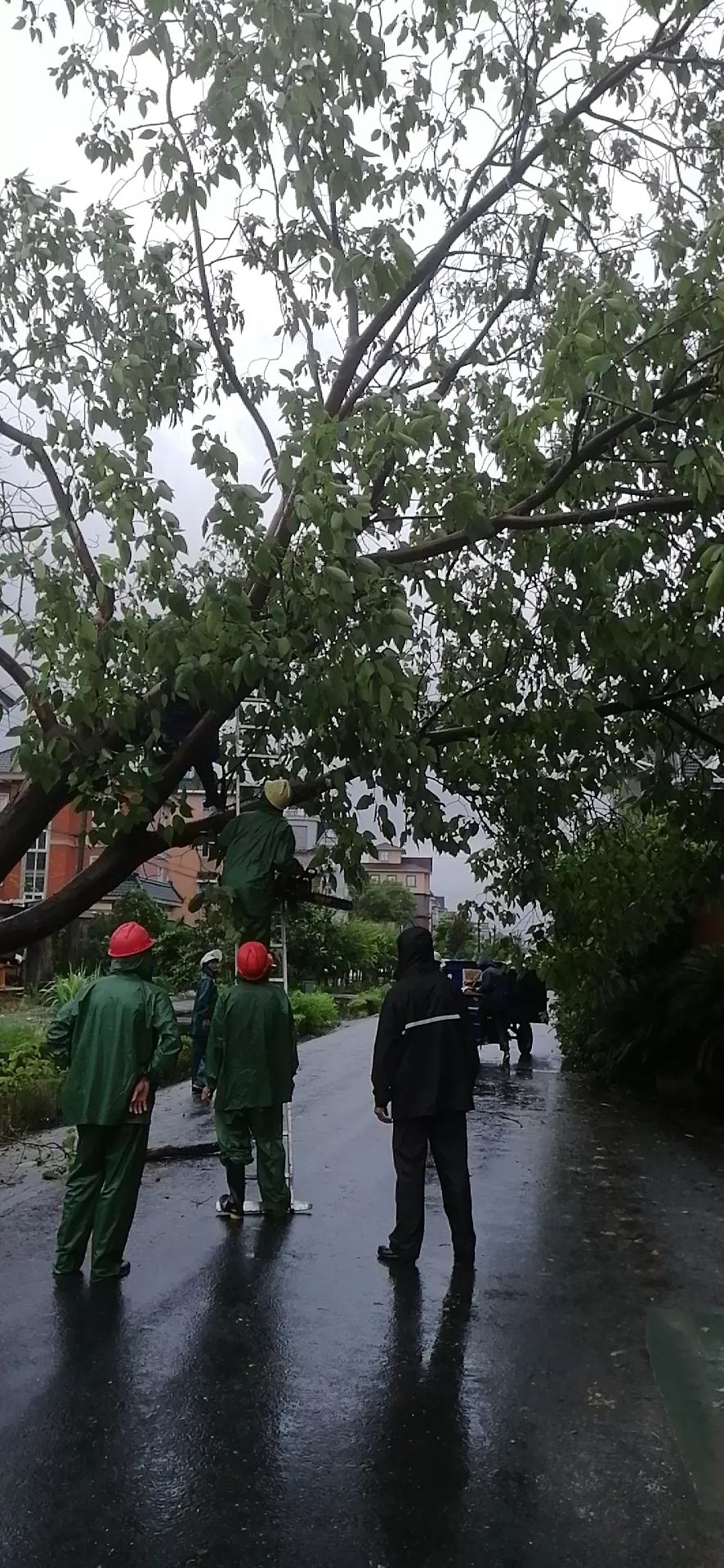 丹東遭遇最新臺(tái)風(fēng)，風(fēng)雨中的堅(jiān)守與應(yīng)對(duì)