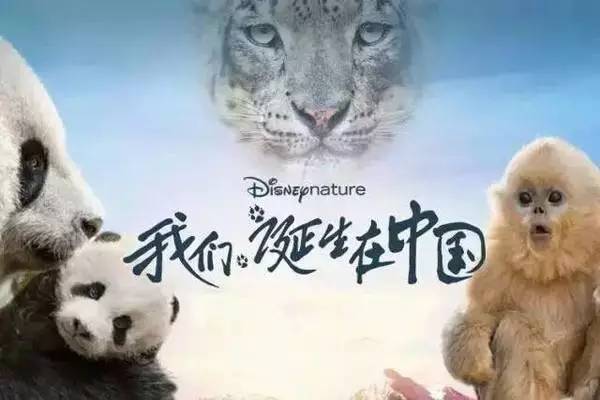 四不像正版與正版四不像，探索與反思的歷程（2023年）