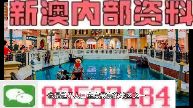 澳門(mén)高級(jí)內(nèi)部VIP資料，揭示違法犯罪的危害與警示