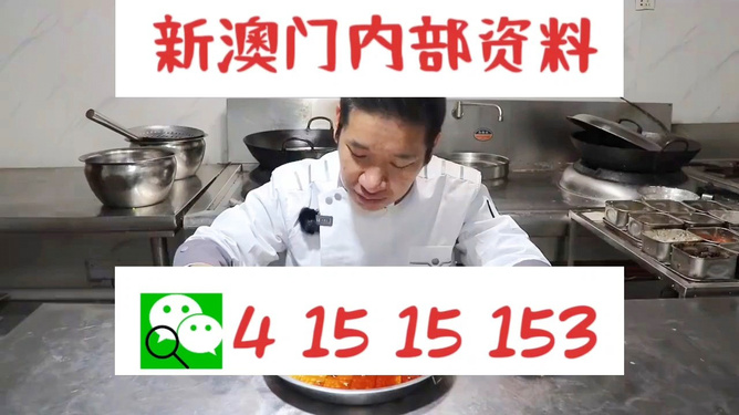 澳門管家婆資料一碼一特一，深度解析與探討