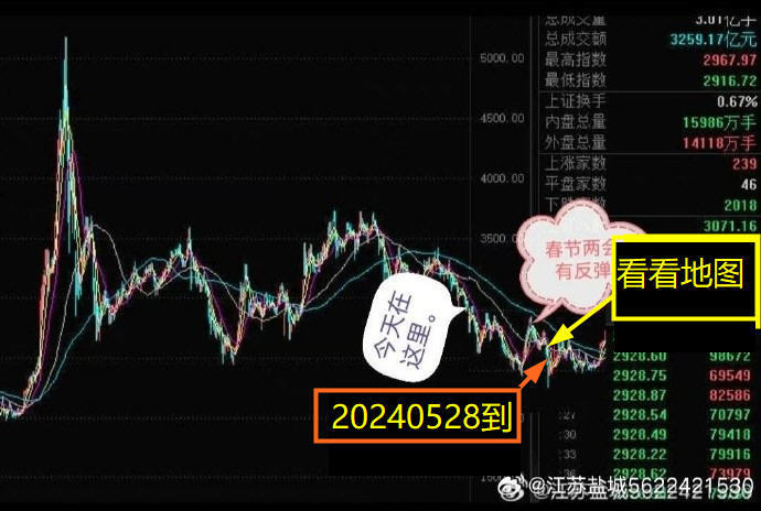 探索新跑狗圖最新版，預(yù)測(cè)與策略的新紀(jì)元（2024年）