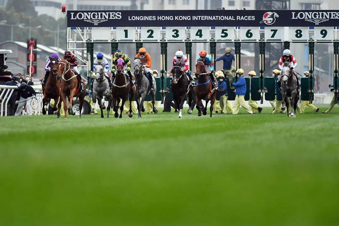 2024新澳門馬會傳真，探索澳門賽馬運(yùn)動的未來