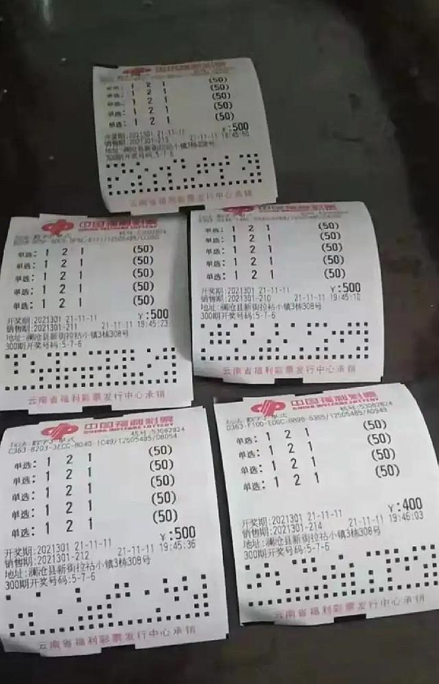 白小姐一碼中期期開獎結(jié)果查詢，揭秘彩票背后的秘密