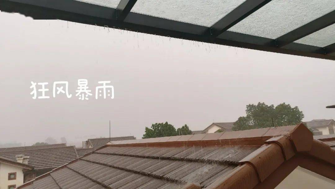 廣東今日臺風(fēng)最新消息，臺風(fēng)動態(tài)與應(yīng)對措施
