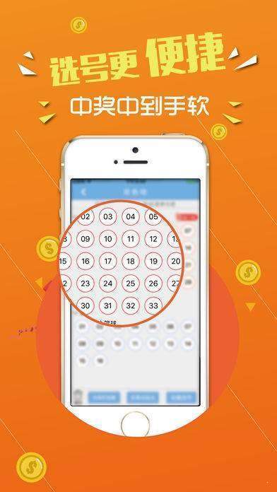 王中王彩票查詢精選號(hào)碼，揭秘彩票背后的秘密與策略