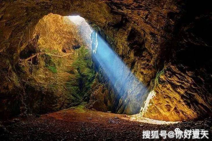 新澳門今期開獎結果記錄查詢，探索彩票世界的神秘面紗