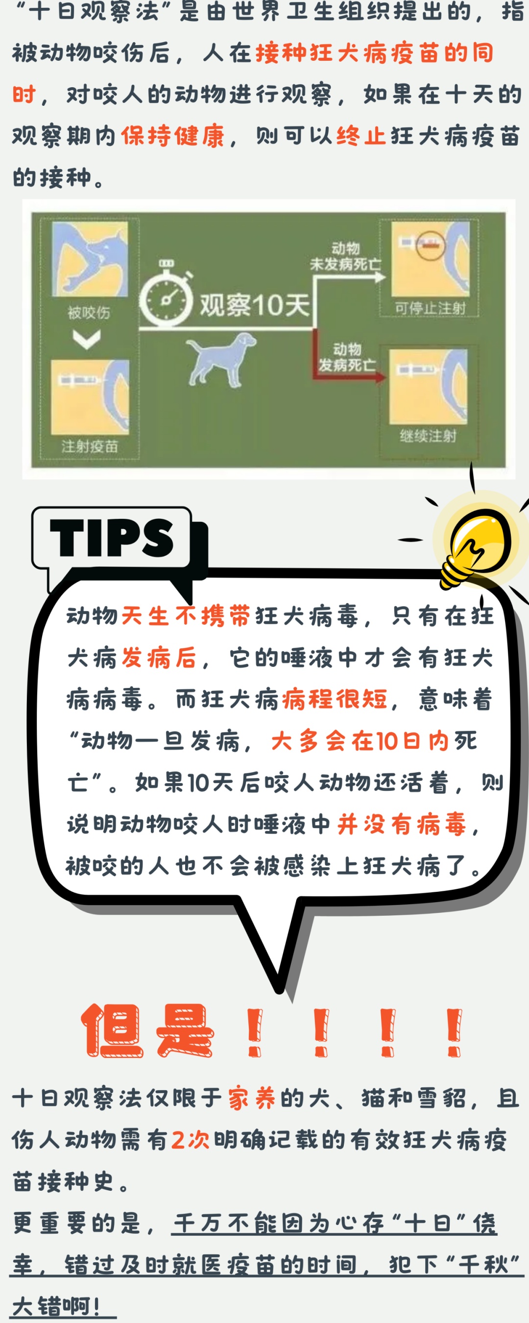 澳門管家婆四肖選一肖期期準——揭開神秘面紗下的犯罪真相