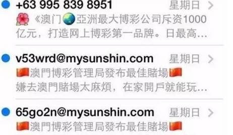 澳門六開天天免費資料大全——揭示違法犯罪背后的真相