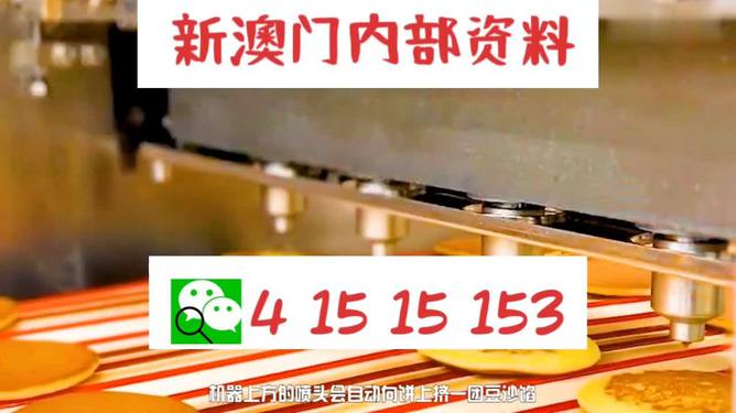 澳門精準(zhǔn)王中王三肖三碼，揭示犯罪風(fēng)險與警示公眾的重要性