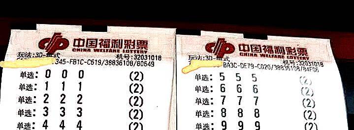 王中王三中三免費資料，揭秘彩票預(yù)測的神秘面紗