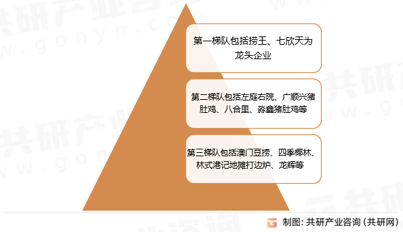 王中王中特網(wǎng)資料大全，深度解析與探索