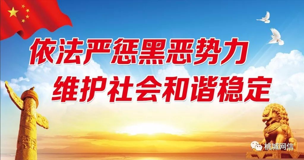 澳門(mén)資料大全正版資清風(fēng)，揭示違法犯罪問(wèn)題的重要性與應(yīng)對(duì)之策