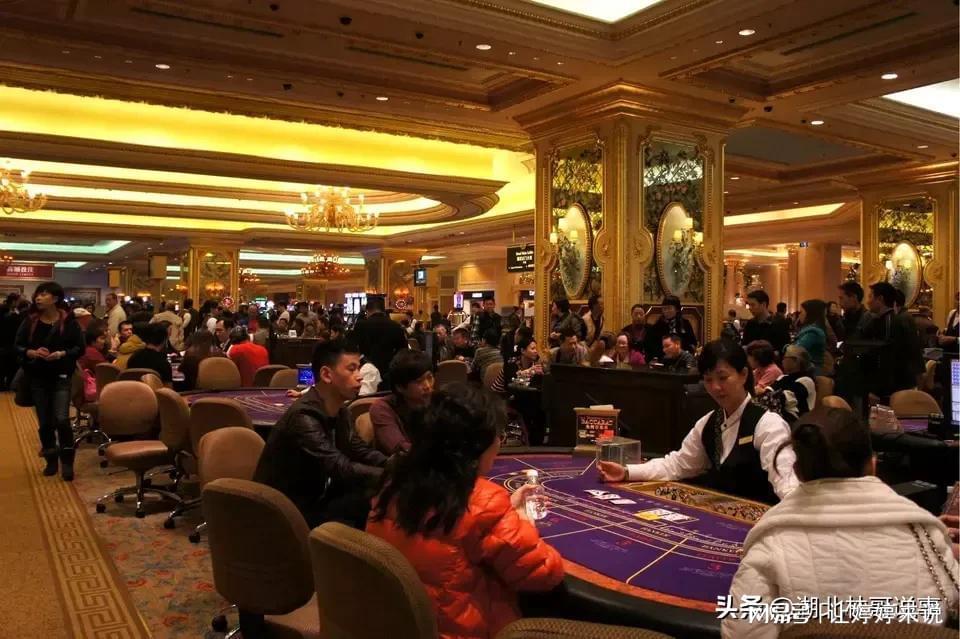 澳門六今晚開什么特馬，警惕賭博陷阱，遠(yuǎn)離犯罪深淵