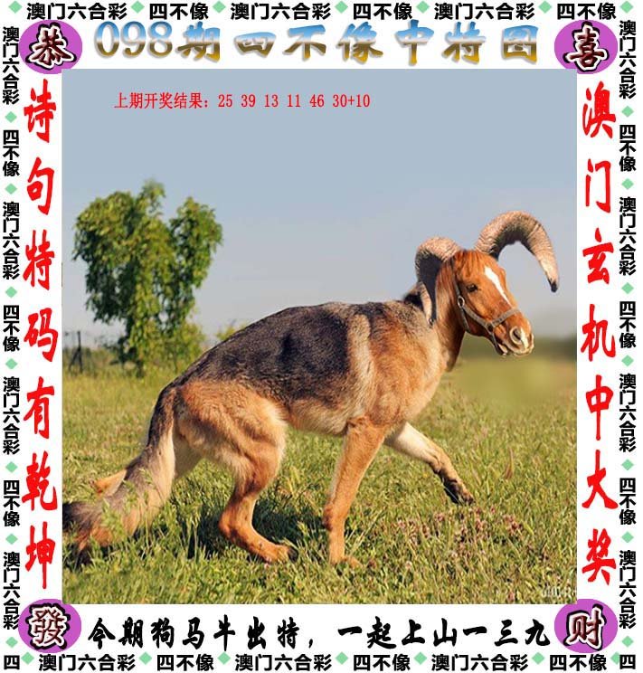 揭秘四不像中特圖，探尋2024年27期獨(dú)特圖片的魅力