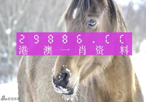 澳門精準(zhǔn)一肖一碼100%，揭示背后的違法犯罪問題