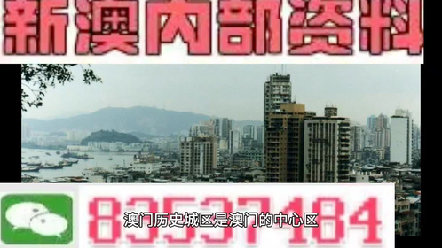 新澳門(mén)資料全年免費(fèi)精準(zhǔn)，探索真實(shí)信息的力量
