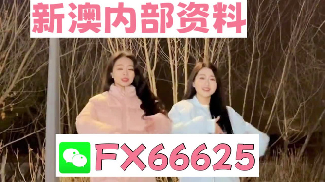 管家婆最準一碼一肖，揭秘彩票背后的秘密與期待（第9387期）
