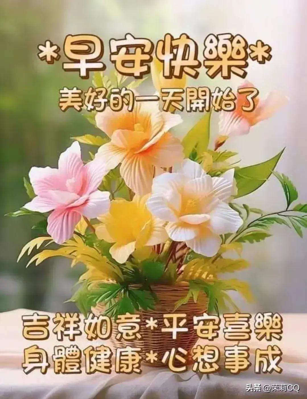關(guān)于天天彩資料大全免費獲取與解讀的探討（2024版）