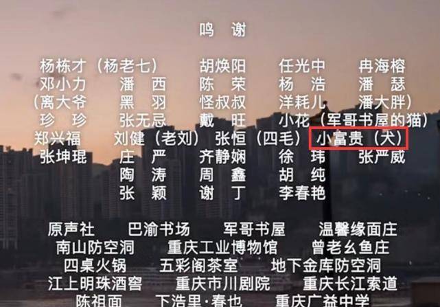 揭秘最準(zhǔn)一肖，探尋百分之百準(zhǔn)確精準(zhǔn)之含義