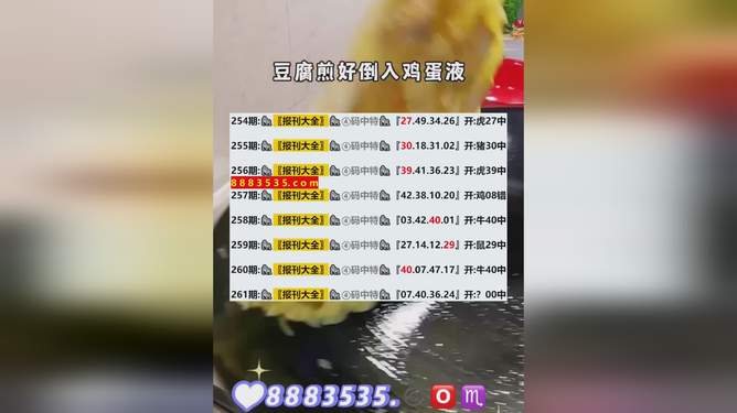 新澳歷史開獎最新結(jié)果查詢今天，探索與解讀