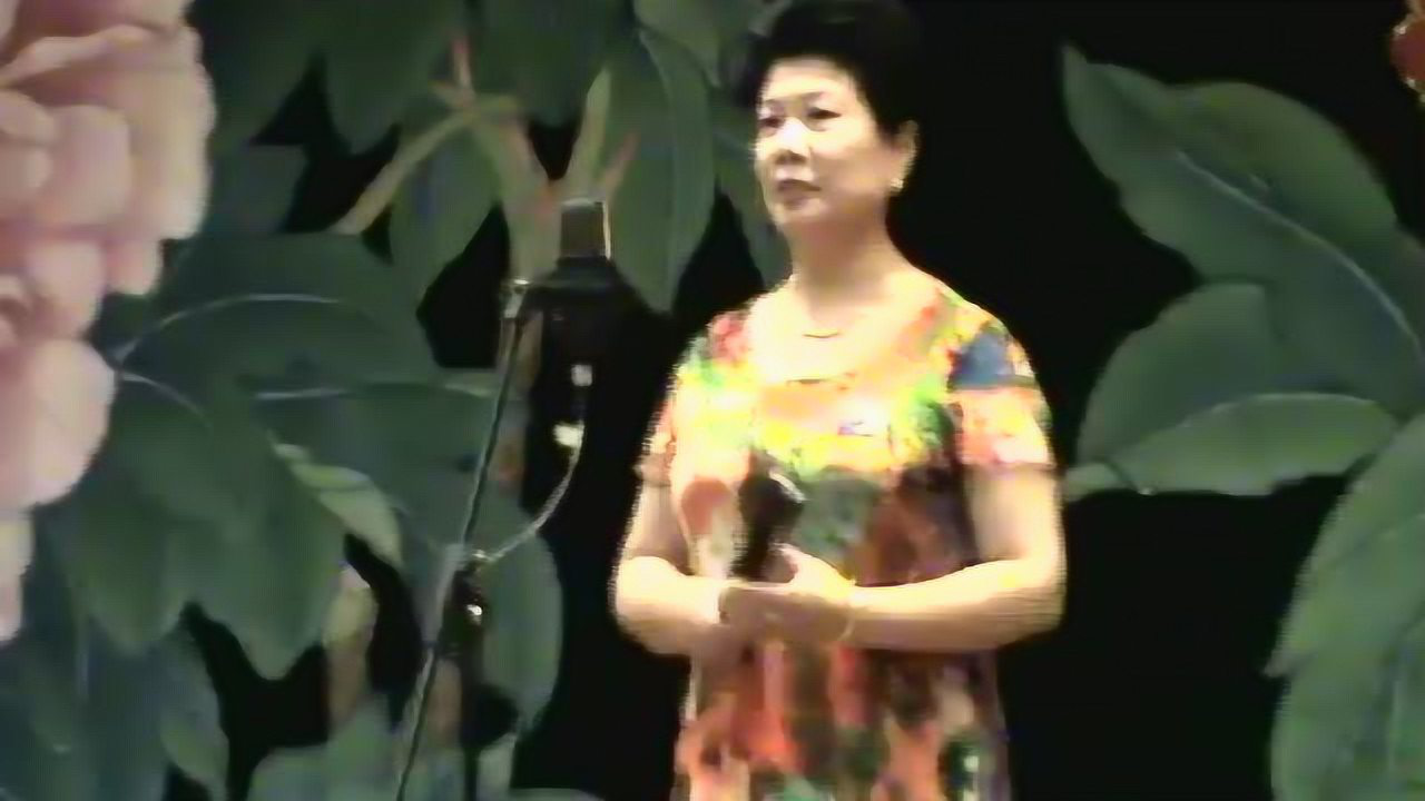 河南墜子韓淑英的最新風(fēng)采