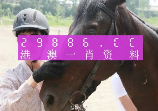 澳門一肖一碼，揭秘背后的真相與警示