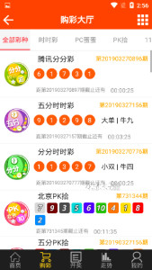 澳門精準(zhǔn)王中王三肖三碼，揭示犯罪問題及其危害