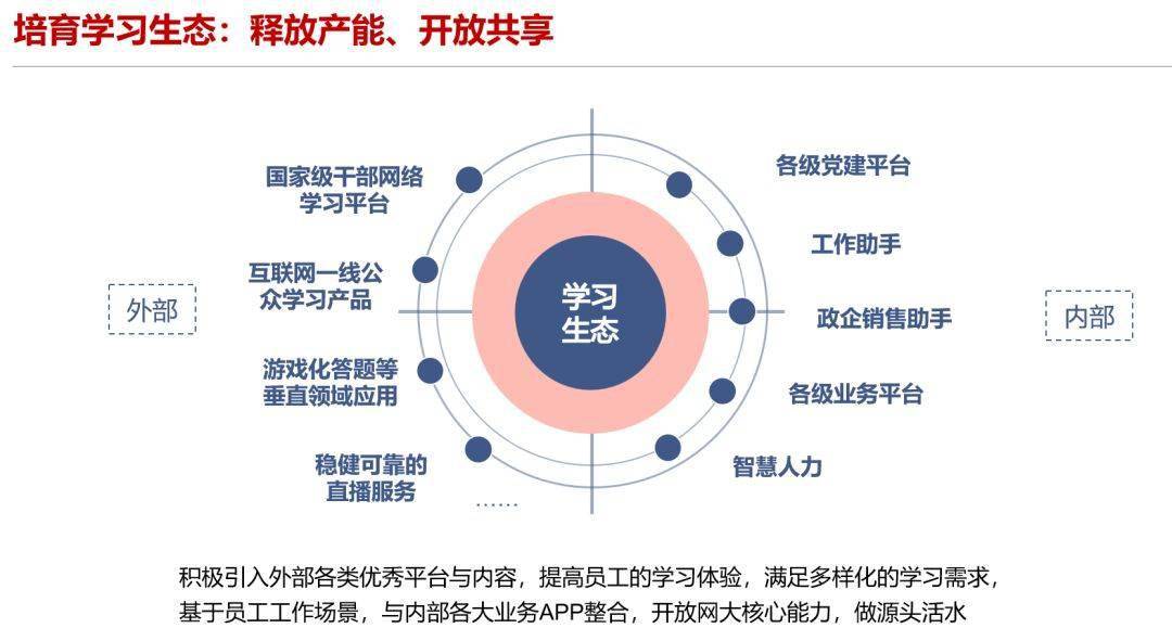 新門內(nèi)部資料精準(zhǔn)大全，深度探索與解析