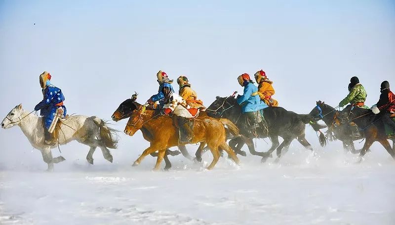 澳門六今晚開什么特馬，探索澳門賽馬文化的魅力