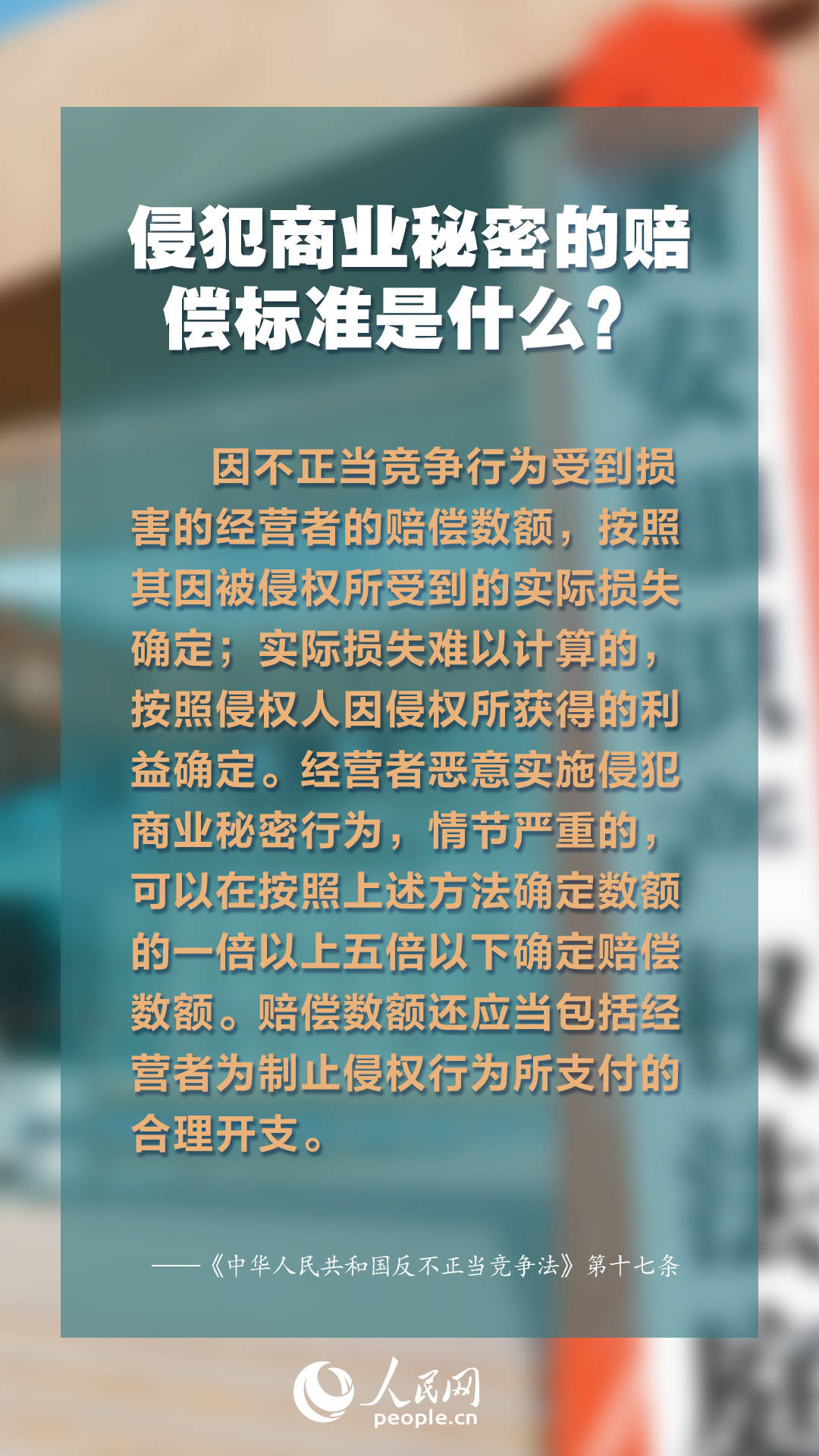 正版資料免費(fèi)綜合大全，探索知識寶藏的門戶