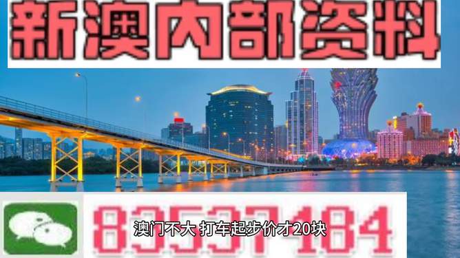 新澳門天天免費資料大全，探索與揭秘