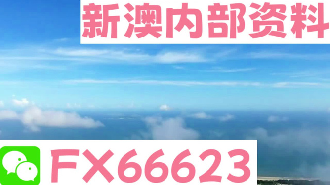 新澳2024資料免費大全版，探索未來，掌握先機