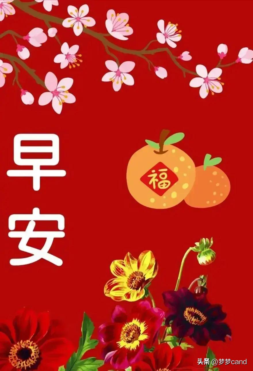 2024年天天彩資料免費大全，深度解析與實用指南