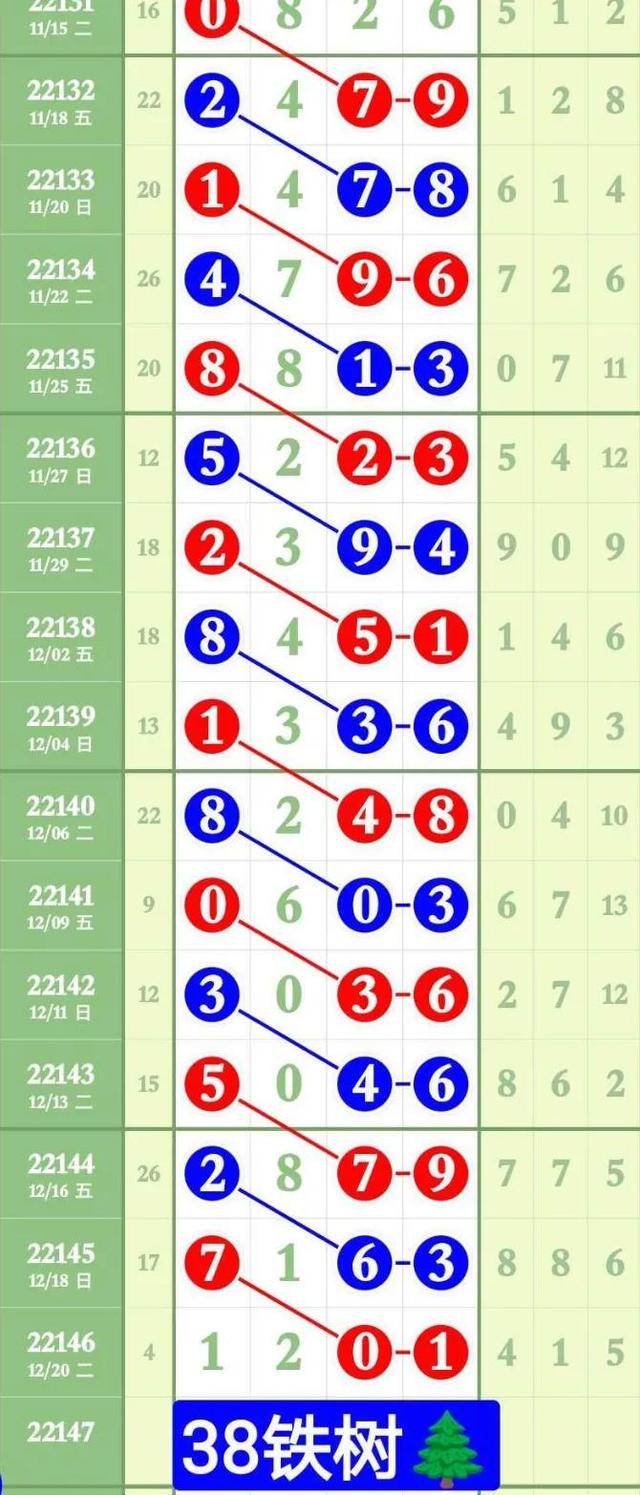 澳門王中王100%的資料2024，深度解析與預(yù)測