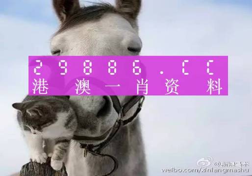 今晚一肖一碼澳門一肖四不像，探索神秘與理性的交匯點