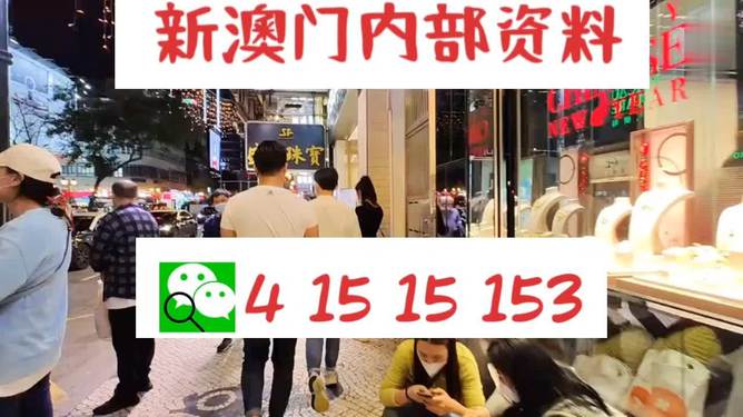 新澳門特免費資料大全管家婆，探索澳門的新機遇與挑戰(zhàn)