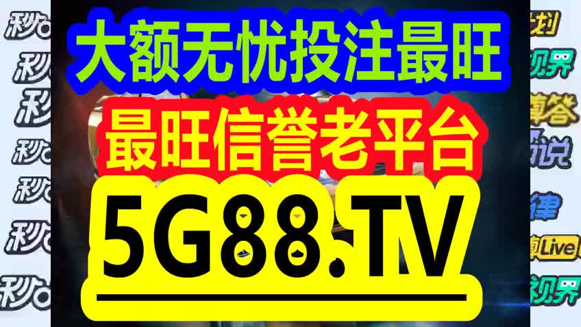 管家婆最準一碼一肖，揭秘彩票背后的秘密與期待