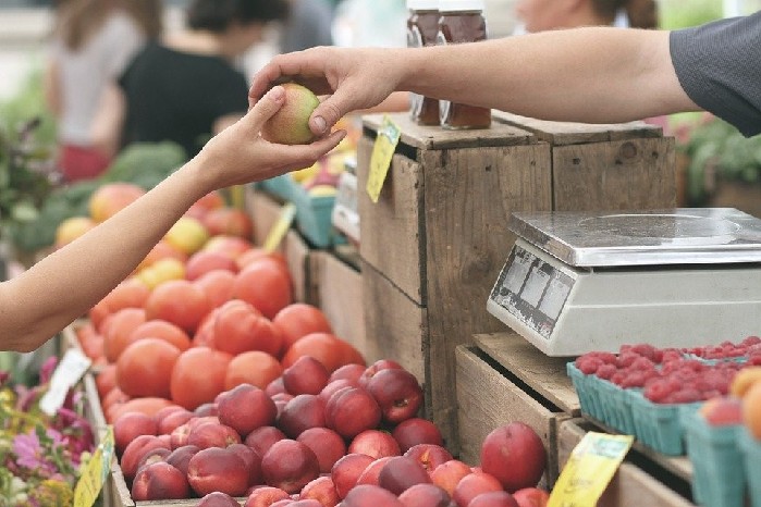 探索水果的世界，4949正版免費(fèi)資料大全