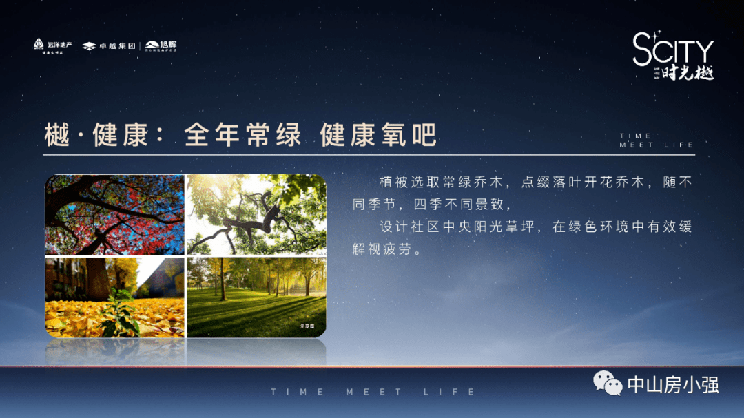 新澳資料大全正版資料，全面解析與深度探討