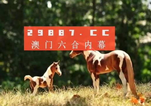 探索未來彩票新境界，2024新澳一碼一特