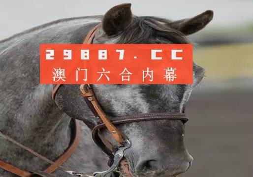 澳門(mén)一肖一碼一中一，探索與解讀