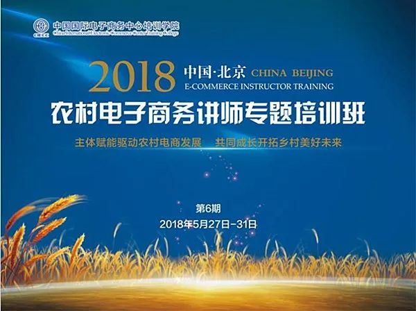 新澳六叔精準(zhǔn)資料大全，探索與解析