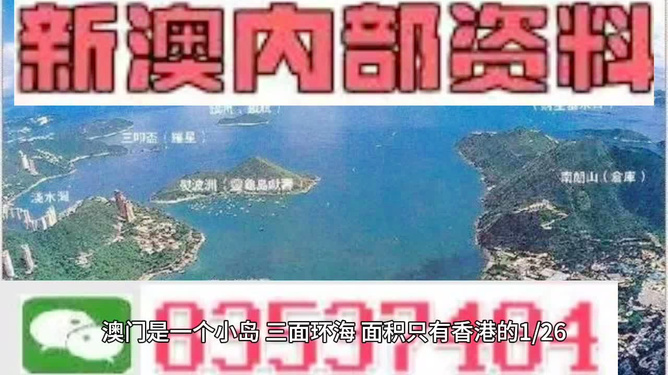 新澳門最精準確精準龍門，探索與解讀