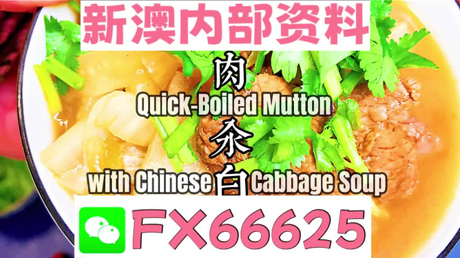 管家婆一碼一肖一種大全，揭秘神秘預(yù)測(cè)背后的故事