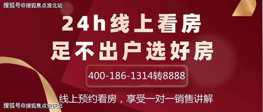 管家婆必出一中一特，深度解析與探討