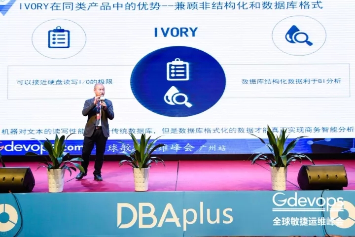 揭秘2024新奧資料，免費獲取精準資源，助力你的成功之路