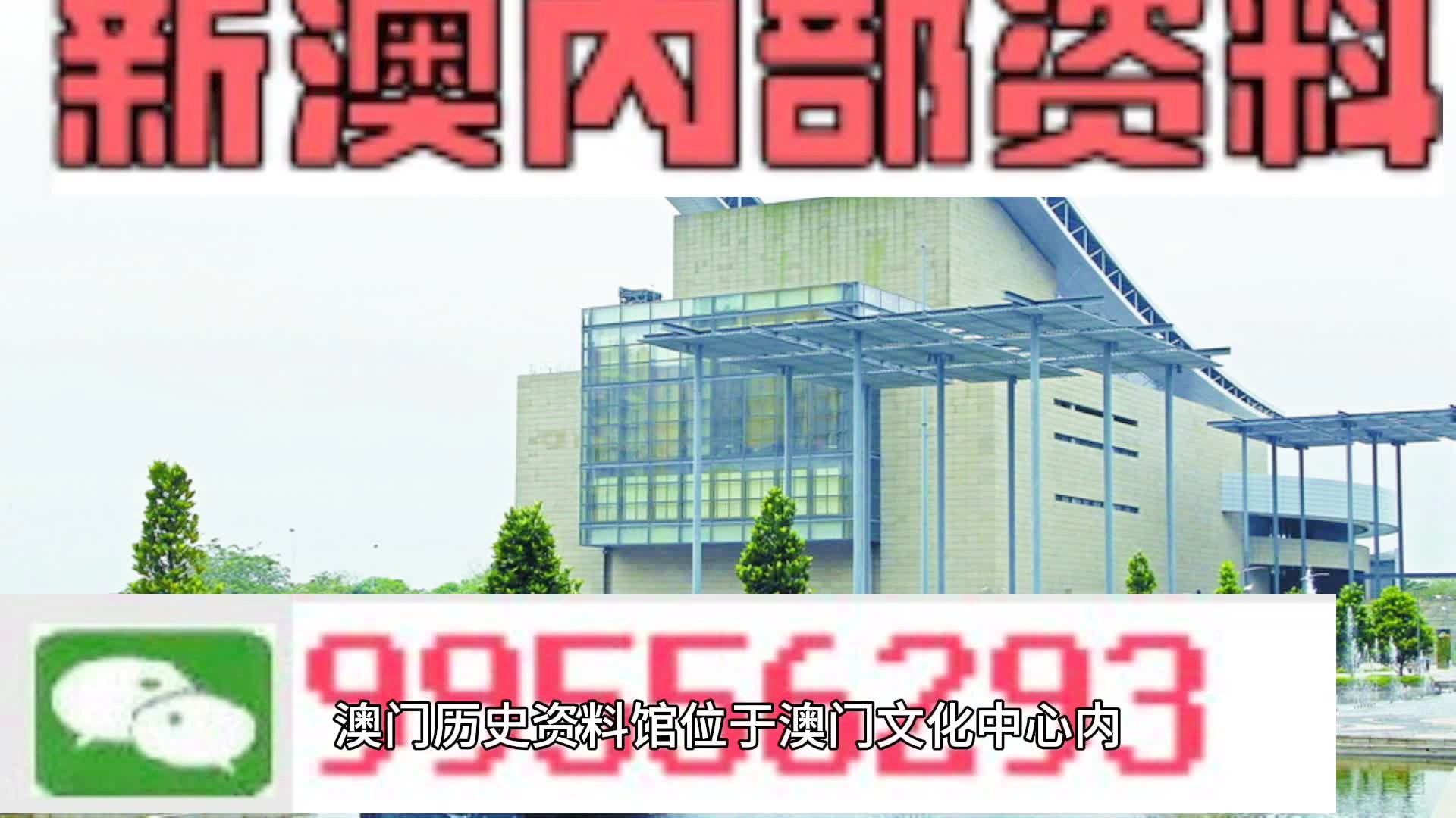 新澳門精準四肖期期準，探索澳門彩種的獨特魅力與精準預測