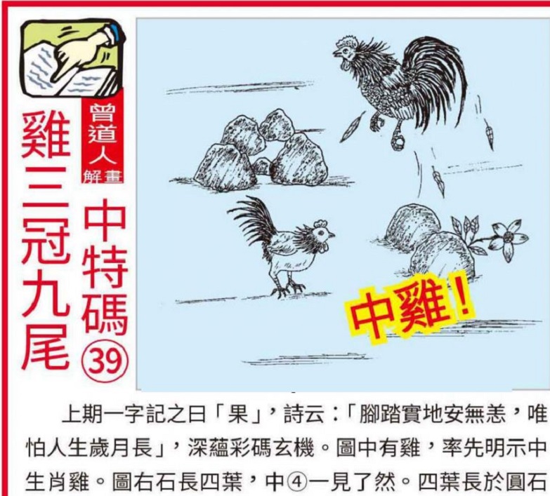 澳門王中王100的準(zhǔn)資料，揭秘彩票背后的秘密
