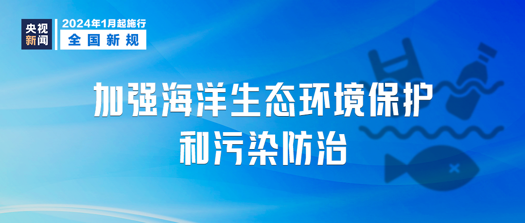 新澳門三期必開一期，犯罪問題的探討與應(yīng)對